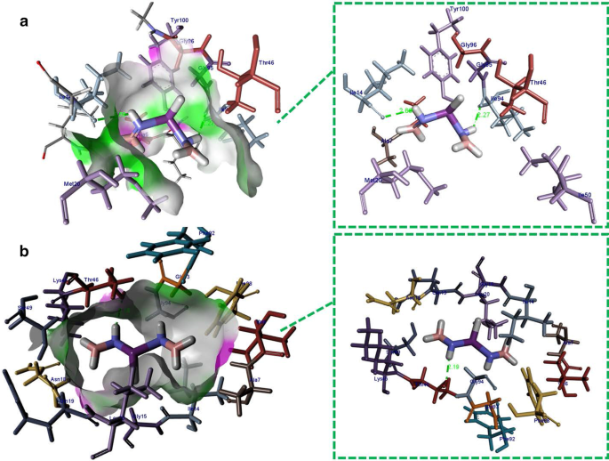 Nano-láminas de Nitruro de Boro Dopadas con Bismuto: Rendimiento Electrónico y Óptico Mejorado desde Teoría y Experimento