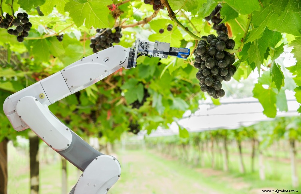 12 Aplicaciones Líderes de Robots Industriales: Impulsando Eficiencia y Seguridad