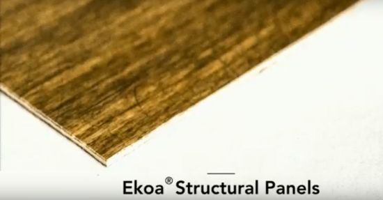 Ekoa TP: Composite termoplástico basado en lignina que supera a la madera en sostenibilidad