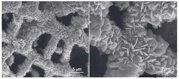Madera transparente e innovaciones neutras en carbono: el futuro de los materiales sostenibles