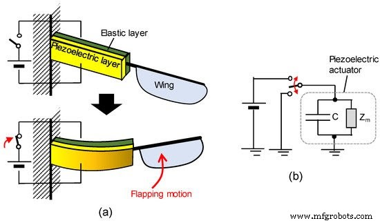 La Ciencia Detrás de la Piezoelectricidad: Cómo Funciona y Por Qué Importa