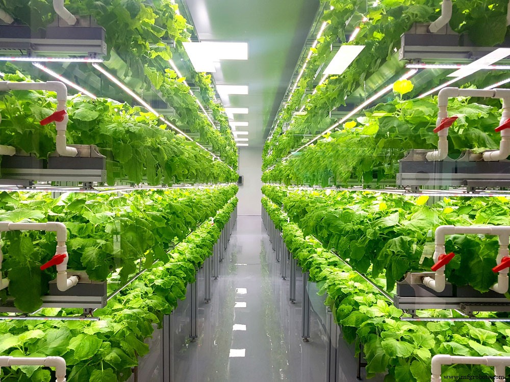 Cómo Elegir el LED Adecuado: Guía de Tipos y Aplicaciones para tu Proyecto