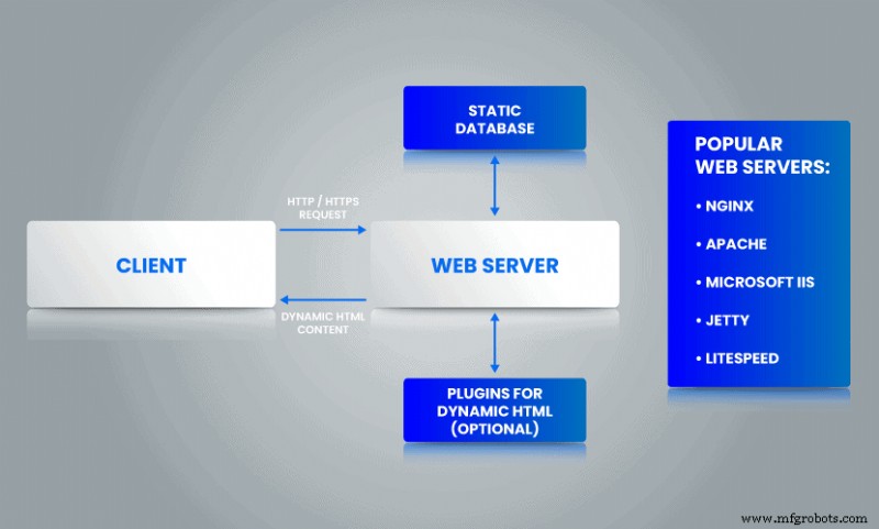 Servidor Web vs. Servidor de Aplicaciones: Diferencias Clave y Cómo Elegir el Correcto