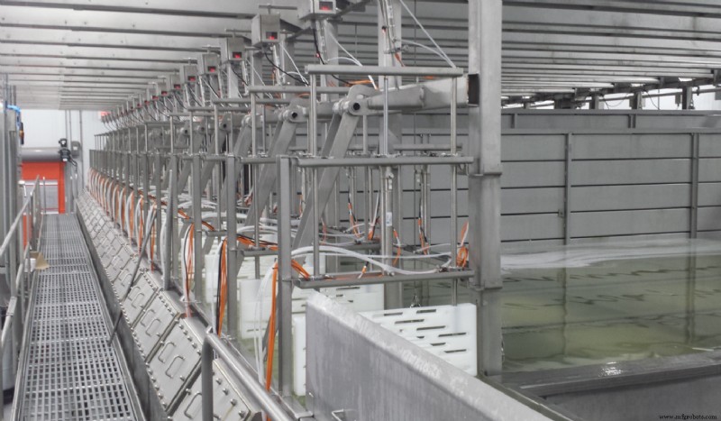 Revolucionando la Producción de Queso: El Sistema de Salmuera Totalmente Automatizado